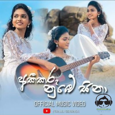 Akikaru Numbe Sina (Mushup Cover) 