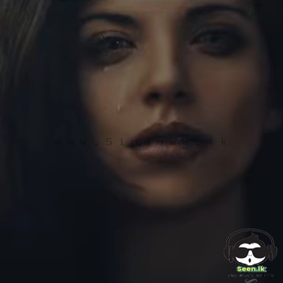 Desa Nilupul Thema (Remix)