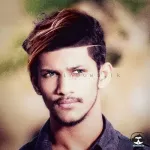 Himalayan Profile Image