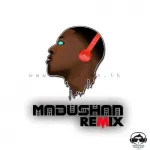 Dj Madushan Remix