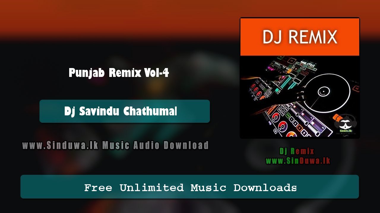 Punjab Remix Vol-4 