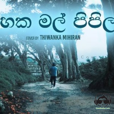 Gahaka Mal Pipila (Cover) - Thiwanka Mihiran
