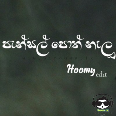 Pansal Poth Nalu (Ran Kevita Remix) - Hoomy