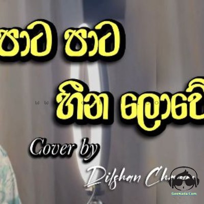 Pata Pata Heena Lowe (Cover) - Dilshan Chamee