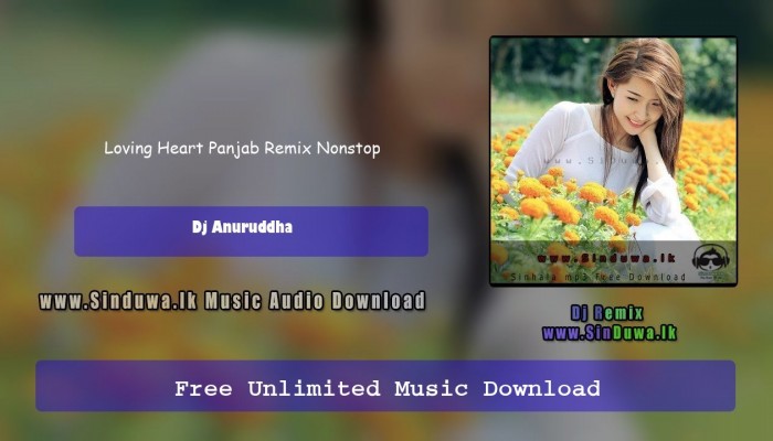Loving Heart Panjab Remix Nonstop