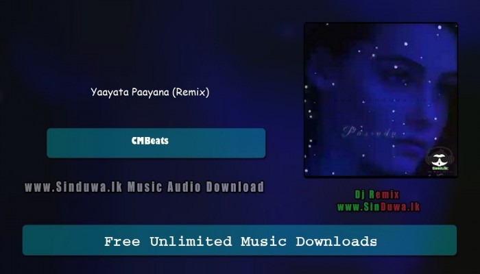 Yaayata Paayana (Remix)