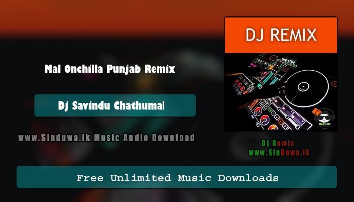 Mal Onchilla Punjab Remix 