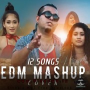 12 Songs Mashup Cover