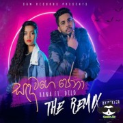 Sanda Wage Pena (Remix)