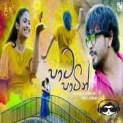 Paata Paatin (Diyani Teledrama)