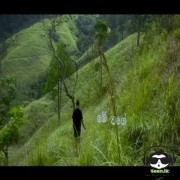 Baha Mata Waira Karannata