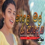 Aaley Mal & Naden (Mashup Cover)