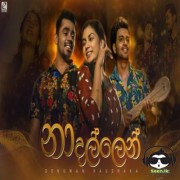 Na Dallen (Iskole Teledrama)