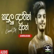 Kadulu Dothin Aran (Cover)
