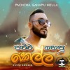 Pachcha Gahapu Kella Cover