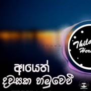 Ayeth Dawasaka Hamu Wewi(cover)