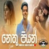 Nethu Piyan Parala (Cover) Cover