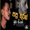 Papu Thurin Me Sansare (Cover) - Maduu Shanka