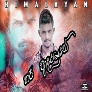 Hari Adarayen (Cover)