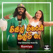 Visil Witharayi Balti Na