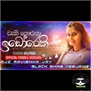 2R23 Wehi Noyena Idoreki Female Cover Song Party Panjab Dance Mix 