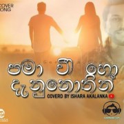 Pama Wee Ho Danunothin (Cover)