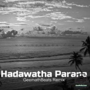 Hadawatha Parana (Remix)