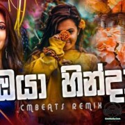 Oya Hinda Man Vinda (Remix) 