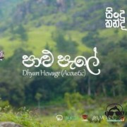 Palu Pale Acoustic Version (Sindu Kanda)