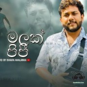 Niyagala Malak Wela Pipi (Cover)