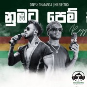 Maa Nubata Pemkale (Reggae Version)