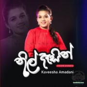 Nil Dasin (Cover Version)