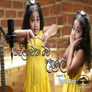 Nalawena Maw Ukule (Cover)