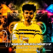 2024 New Hit King Of Baila DJ Nonstop