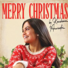 Merry Christmas Cover