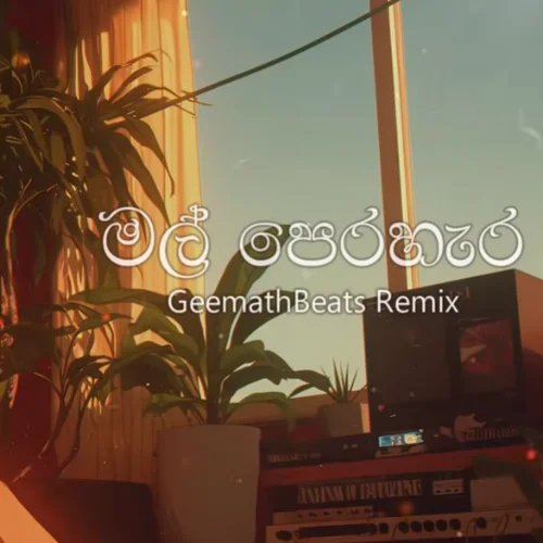 Mal Perahera (Remix) - Geemath Beats