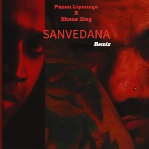 Sanvedana (Remix) - Shane Zing