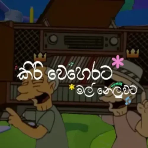 Kiri Weherata Mal Neluwata (Funny Remix) - Niluzz Audio