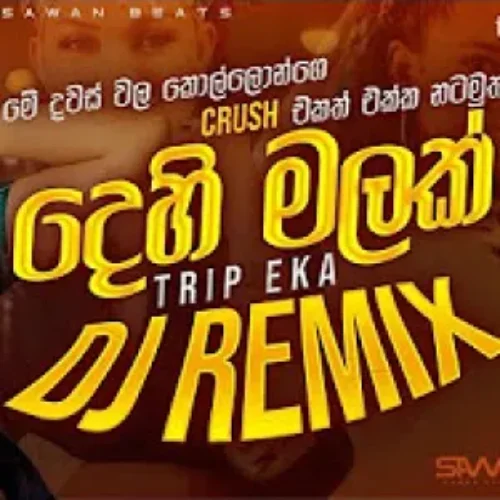 Dehi Malak (Trip Eka) Mashup Remix - Sawan Beats